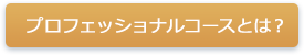 プロフェッショナルコースとは？